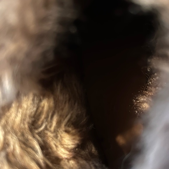 Women’s boots with a small  heel - Picture 6 of 8